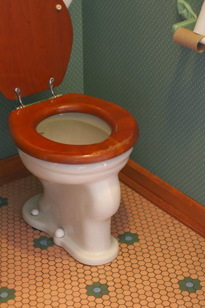 The antique toilet that is going to stay 
