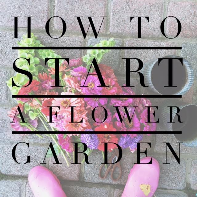 How to Start a Flower Garden