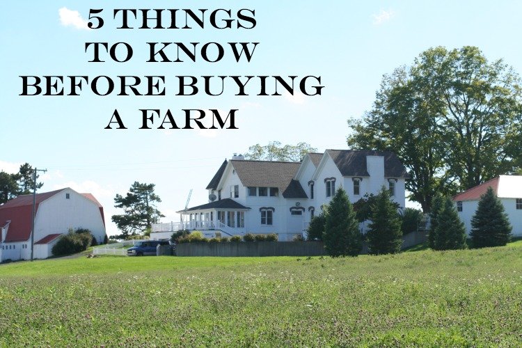 five 5 things to know before buying a farm 