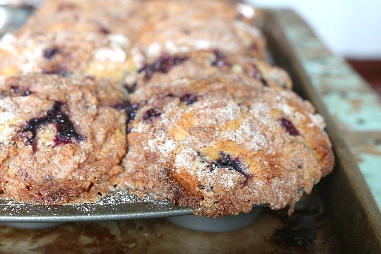 blueberry muffin 2