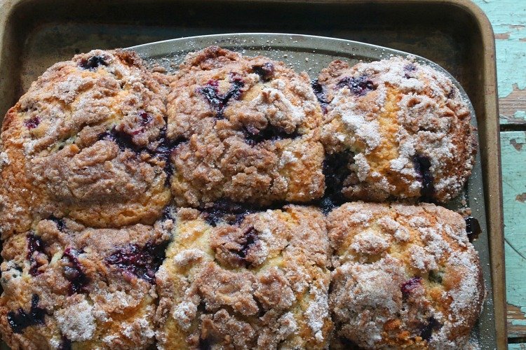 blueberry muffin 3