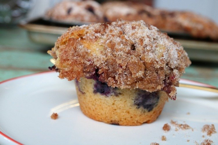 blueberry muffin 5