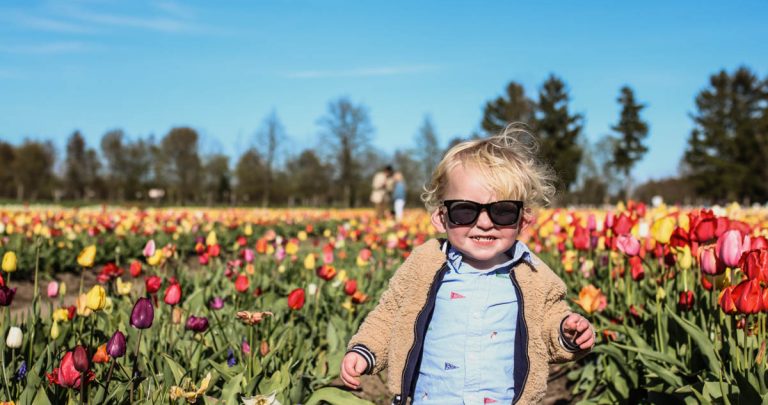 Toddler in the tulips
