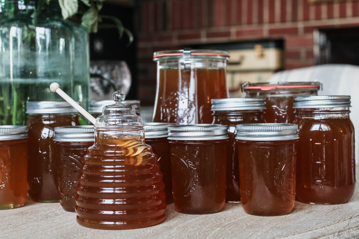 beekeeping 2018 honey harvest