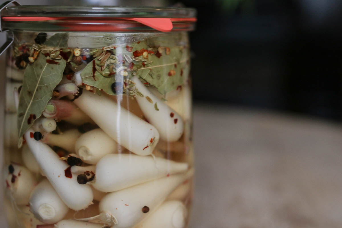 quick pickled ramps