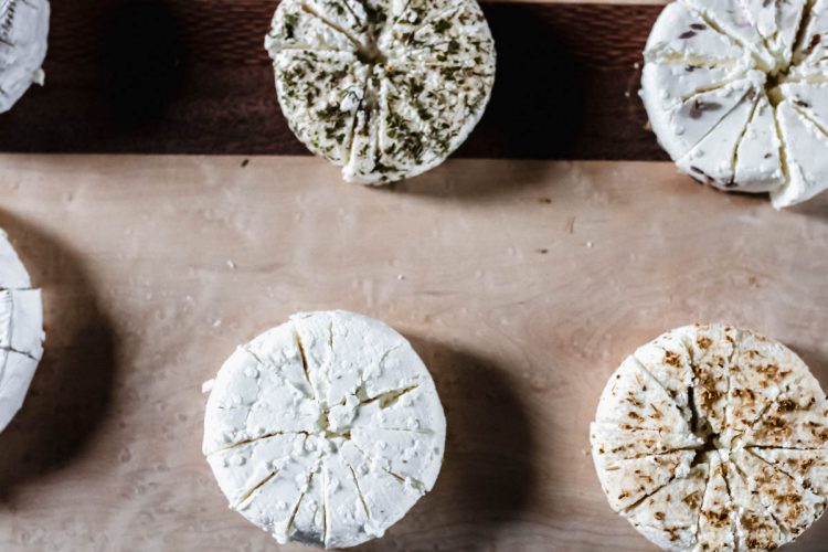 Idyll Farms Goat Cheese Tasting and Farm Tour Abigail Albers
