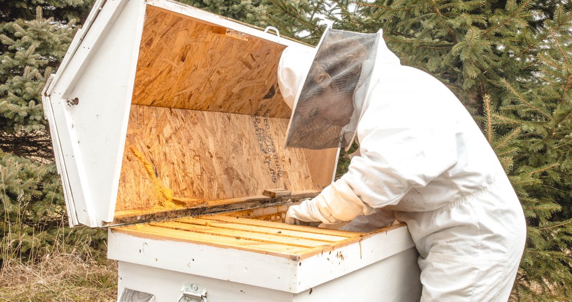 Michigan Winter Beekeeping
