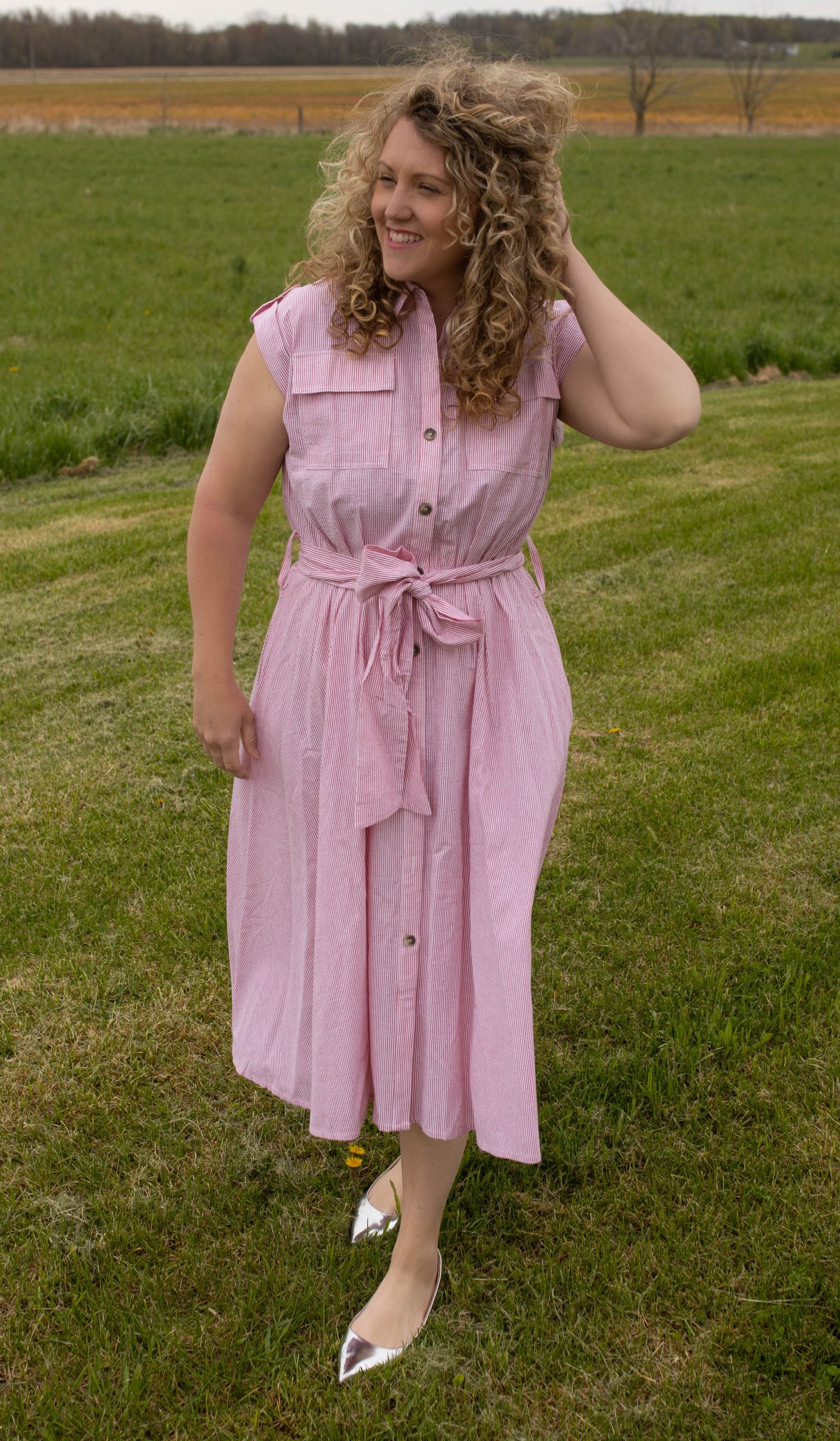 The Found cottage button up stripe picnic dress