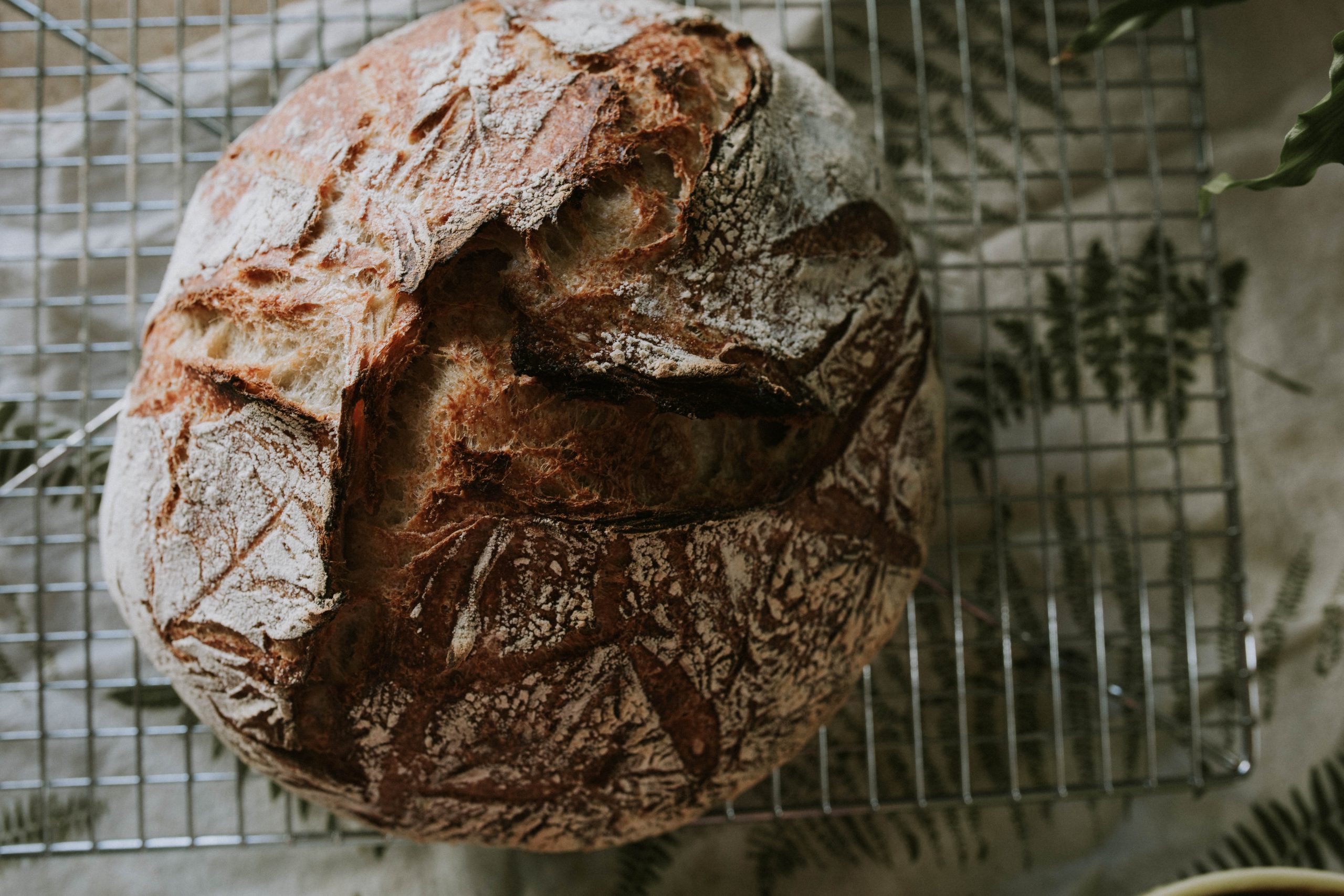 Things to make with Sourdough Discard
