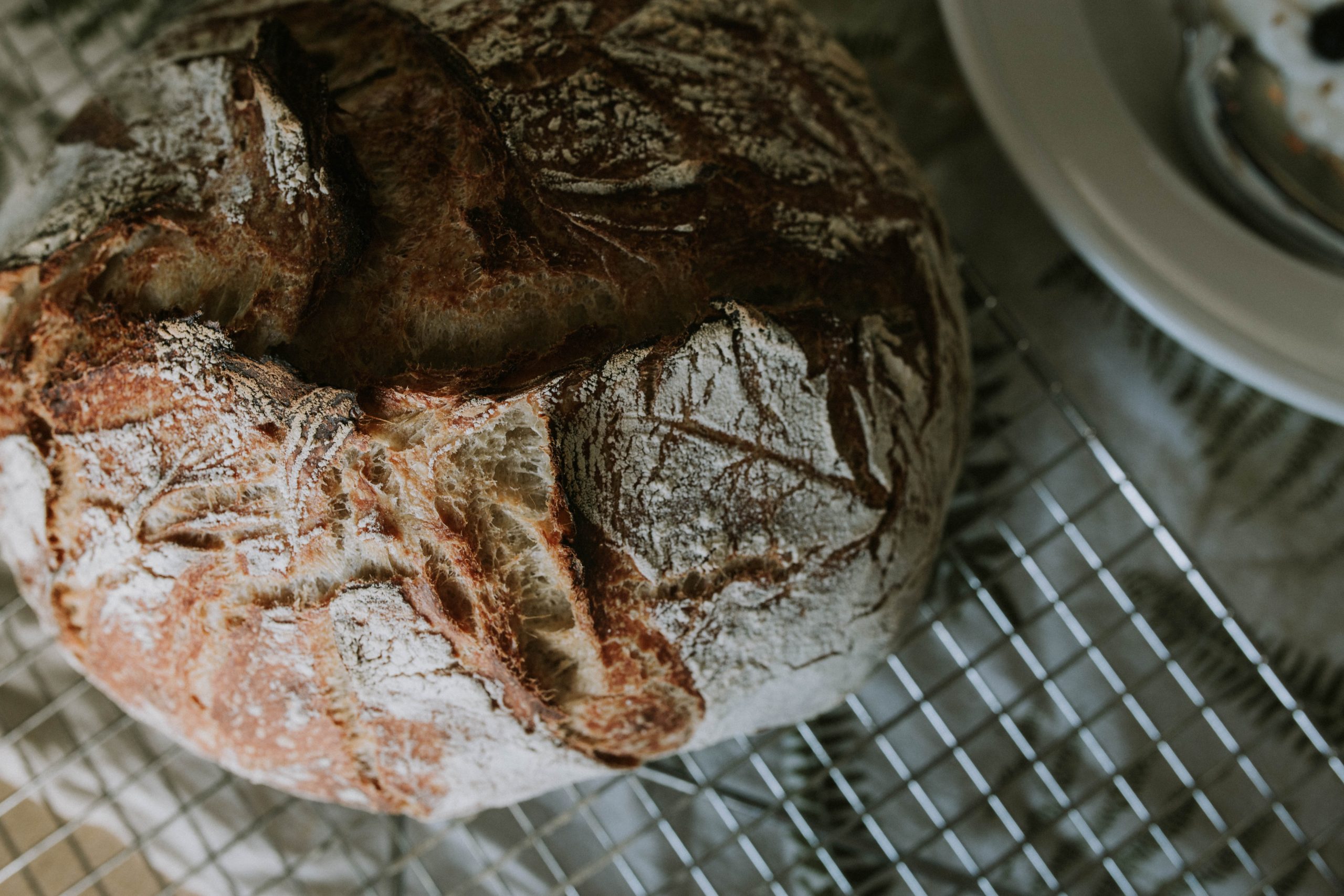 Sourdough Bread Recipes