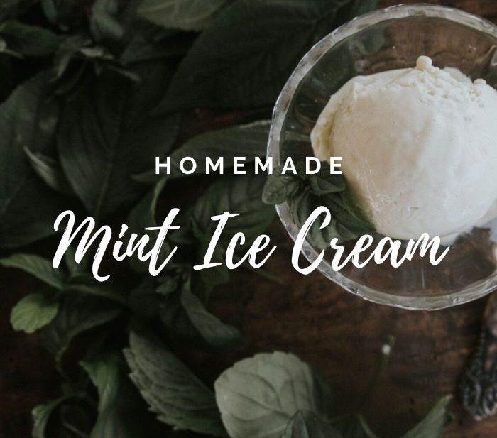 Homemade Mint Ice Cream