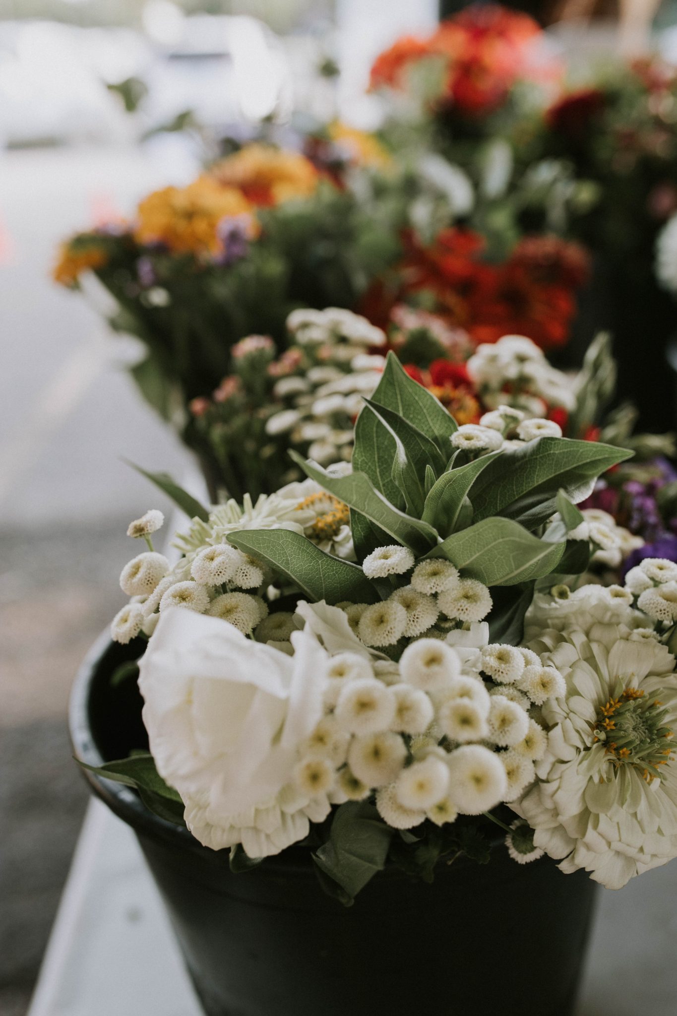 Visiting the Kalamazoo Farmers Market - Abigail Albers