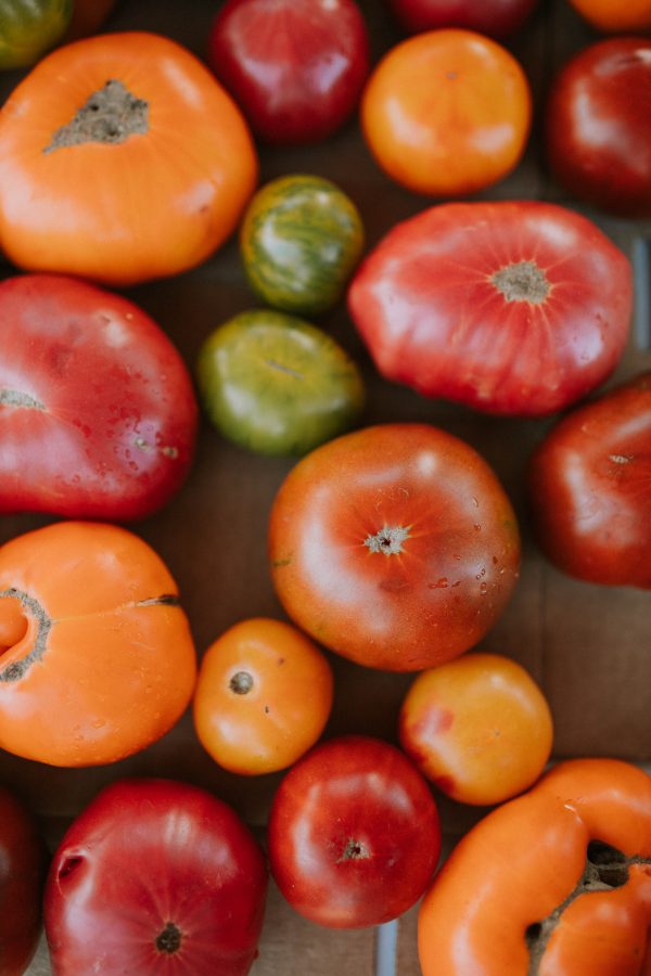 The Best Tomatoes for Canning Abigail Albers garden growing