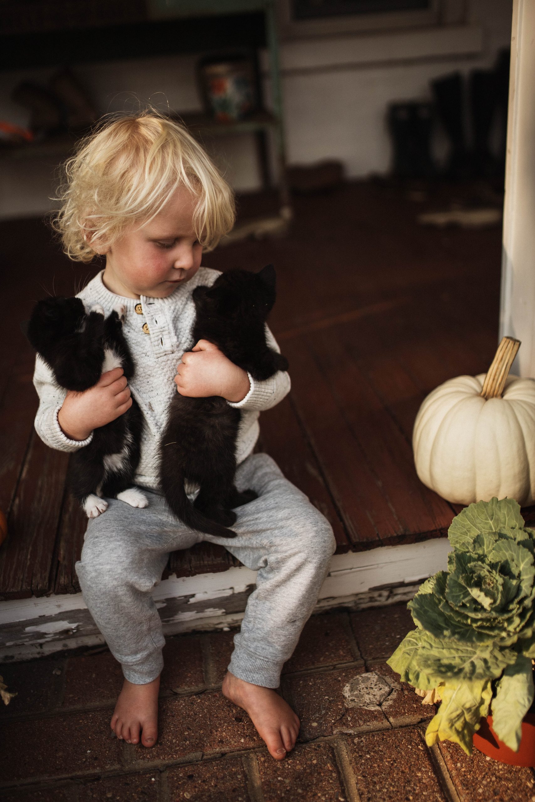 Toddlers and his farm cats 