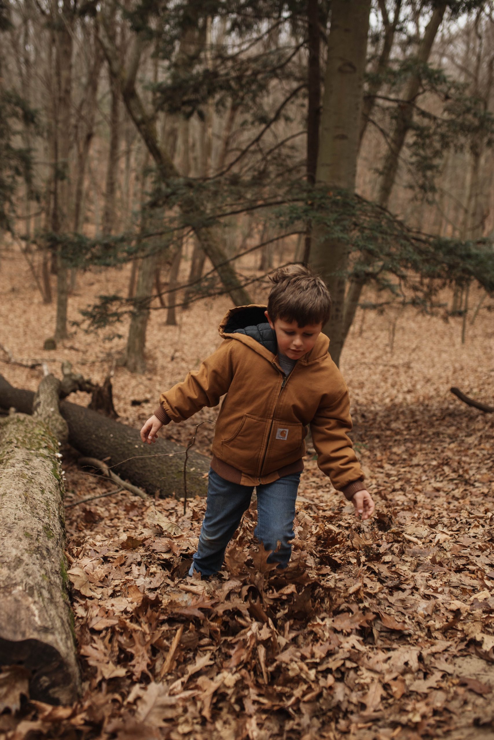 Landon In the Woods