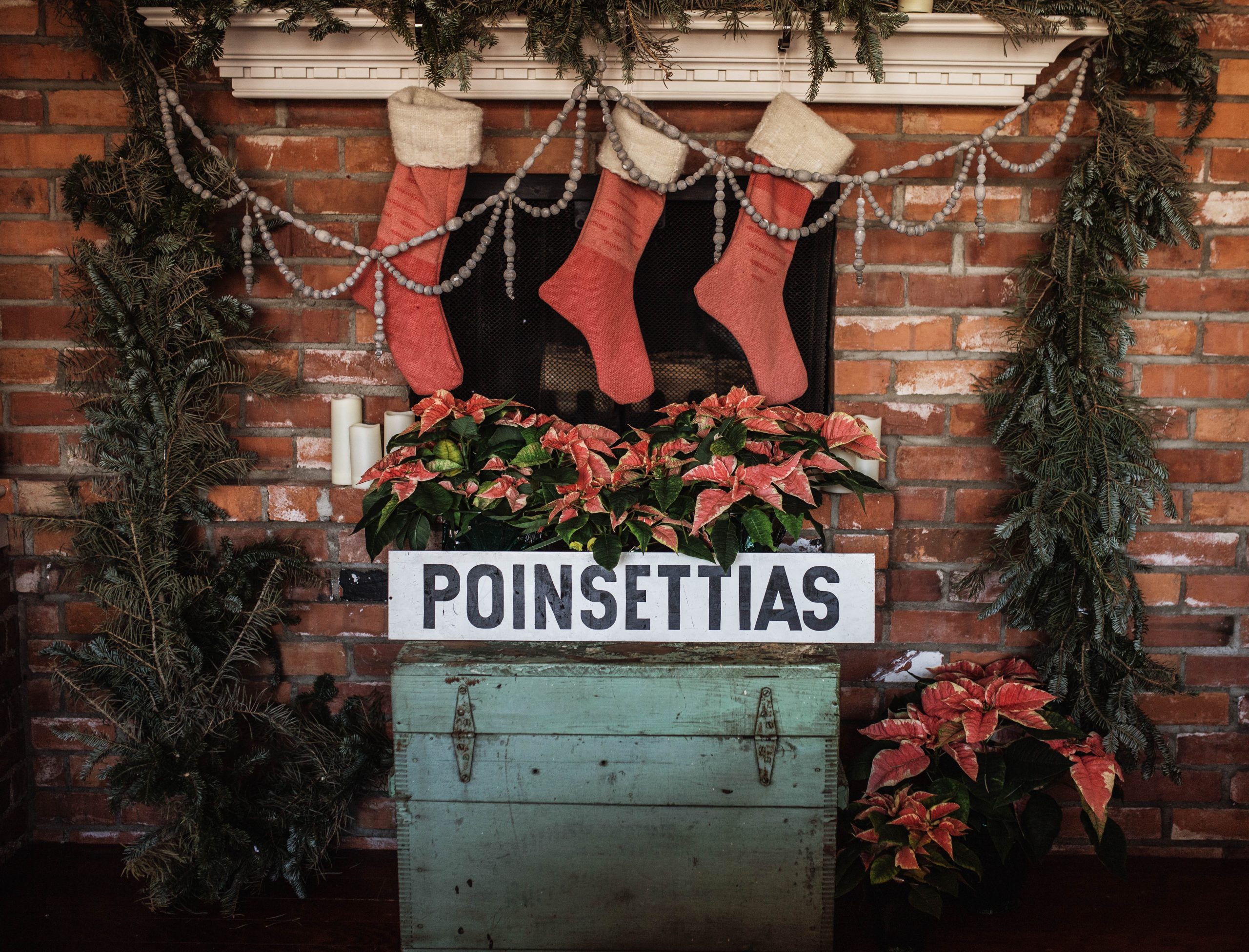 Vintage Poinsettias Sign