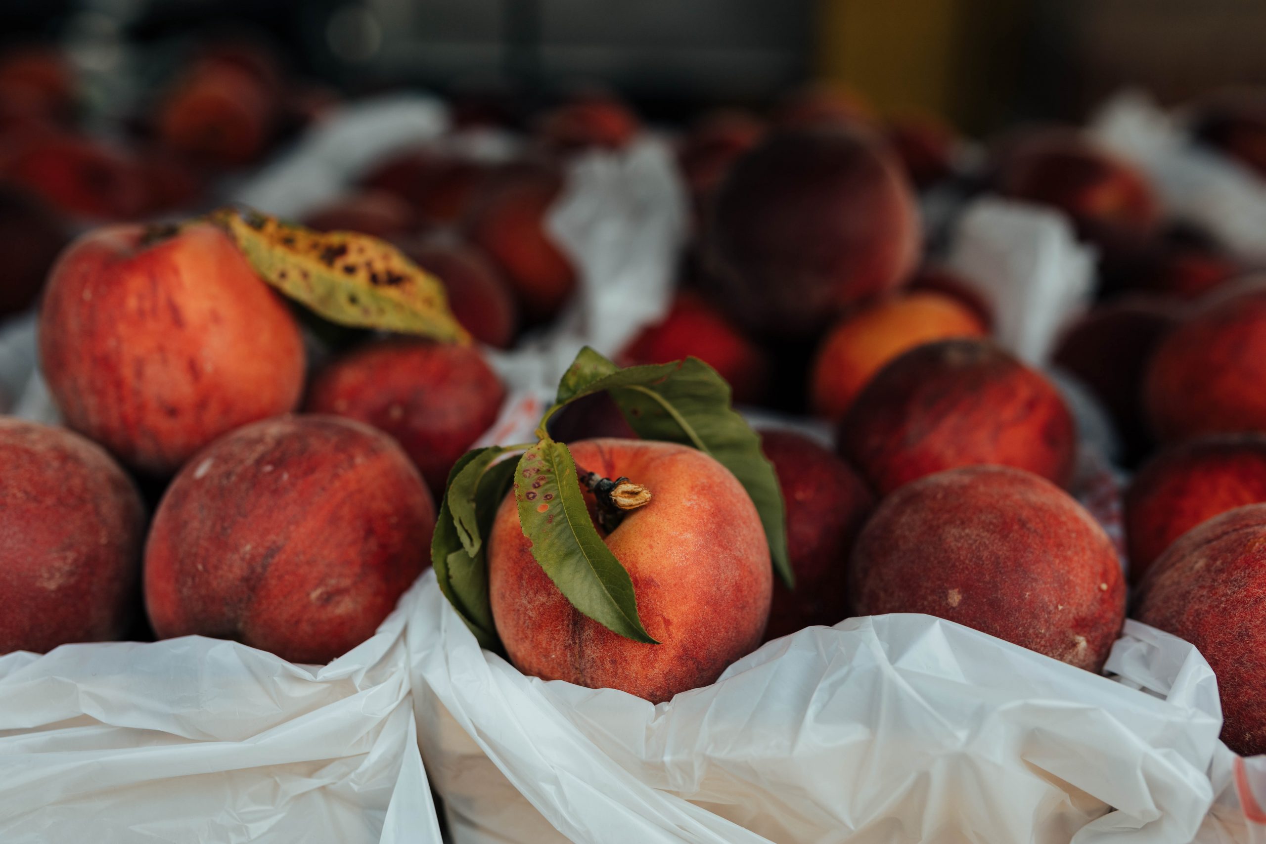 Fresh Farmers Market Peaches