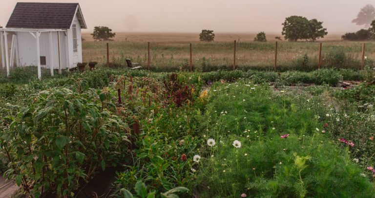 Garden July