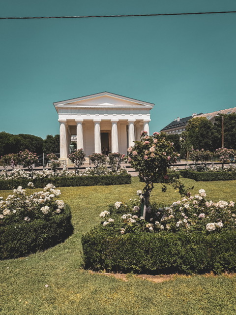 Rose Garden in Vienna Austria